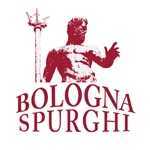 Bologna Spurghi Manutenzioni Fosse Biologiche 
