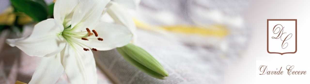 Onoranze funebri Vomero articoli e consulenze per funerali cremazioni Napoli