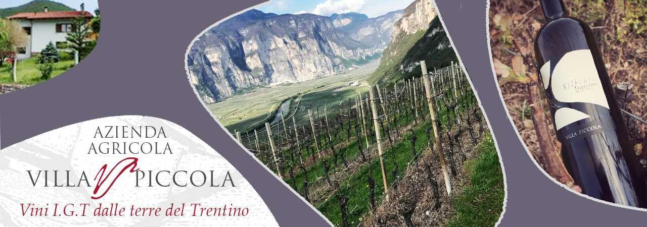 Azienda Agricola Villa Piccola - Vini italiani trentini a Faedo (TN)