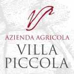 Azienda Agricola Villa Piccola - Vini italiani trentini a Faedo (TN)