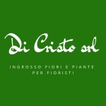 Di Cristo ingrosso piante e fiori Roccaravindola